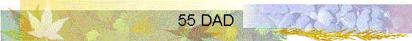 55 DAD