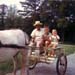 39 DAD, PARRY & TOM, CUMBERLAND DRIVEWAY